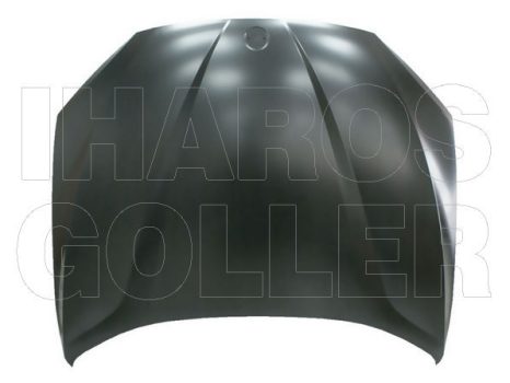 BMW X1 (E84) 2009.10.24-2012.06.30 Gépháztető (23W1)