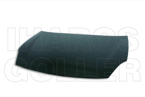 Renault Thalia 2008.11.01- Gépháztető (0052)